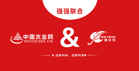 强强联合 pa捕鱼网官网和中国木业网达成战略合作